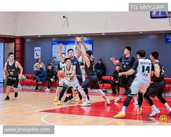 辽宁CBA联赛打造城市品牌：篮球赛事助推地方经济发展