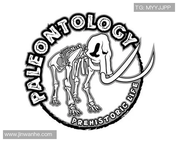 猛犸象尝试新首发阵容，追求获胜